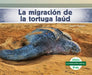 La Migracion de la Tortuga Laud (Leatherback Turtle Migration) by Grace Hansen