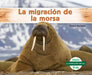 La Migracion de la Morsa (Walrus Migration) by Grace Hansen
