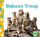 Baboon Troop by Julie Murray