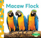 Macaw Flock by Julie Murray
