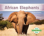 African Elephants by Grace Hansen