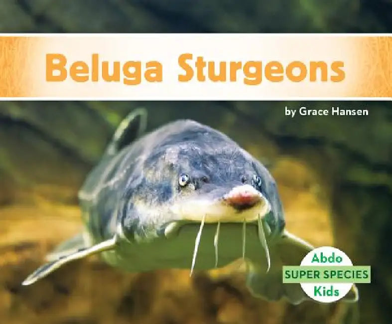 Beluga Sturgeons by Grace Hansen
