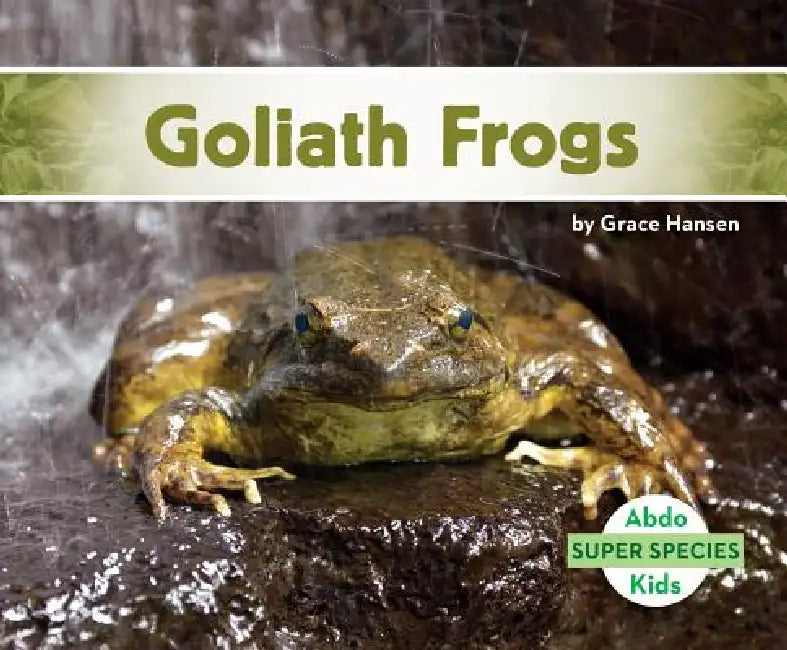 Goliath Frogs by Grace Hansen