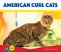 American Curl Cats by Katie Lajiness