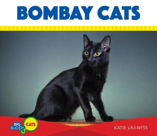 Bombay Cats by Katie Lajiness