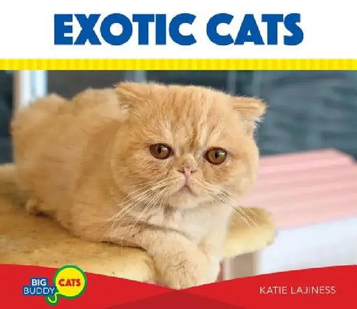 Exotic Cats by Katie Lajiness