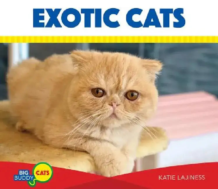 Exotic Cats by Katie Lajiness