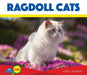 Ragdoll Cats by Lajiness, Katie