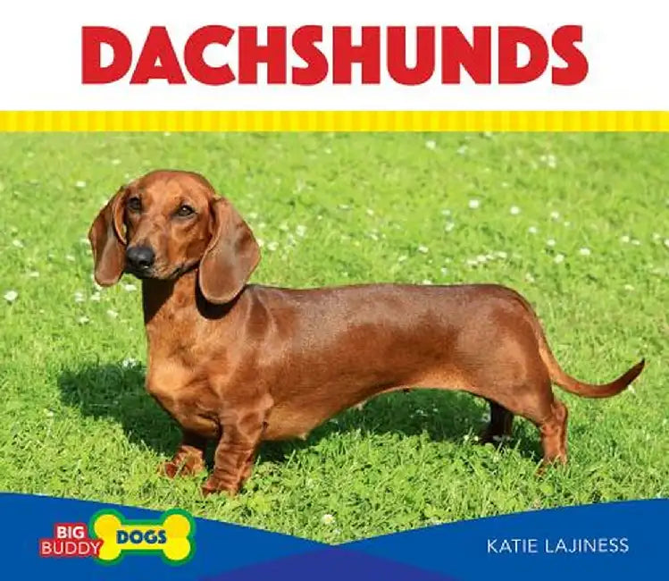 Dachshunds by Lajiness, Katie