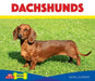 Dachshunds by Lajiness, Katie