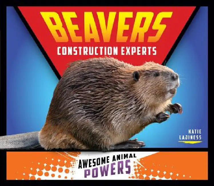 Beavers: Construction Experts: Construction Experts by Katie Lajiness