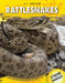 Rattlesnakes by S. L. Hamilton