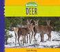 Deer by Julie Murray