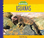 Iguanas by Julie Murray