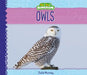 Owls by Julie Murray