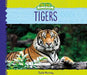 Tigers by Julie Murray