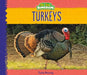 Turkeys by Julie Murray