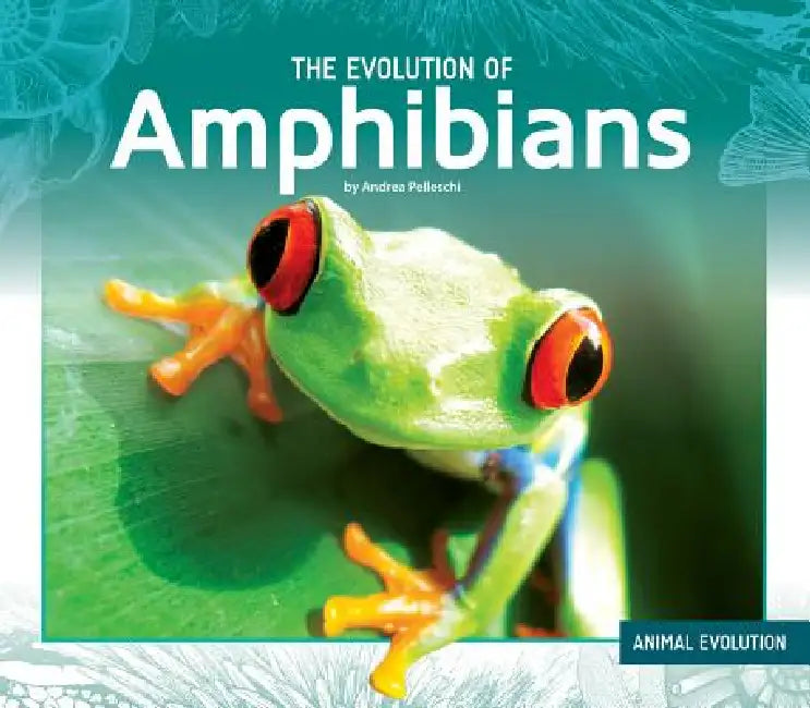 Evolution of Amphibians by Andrea Pelleschi