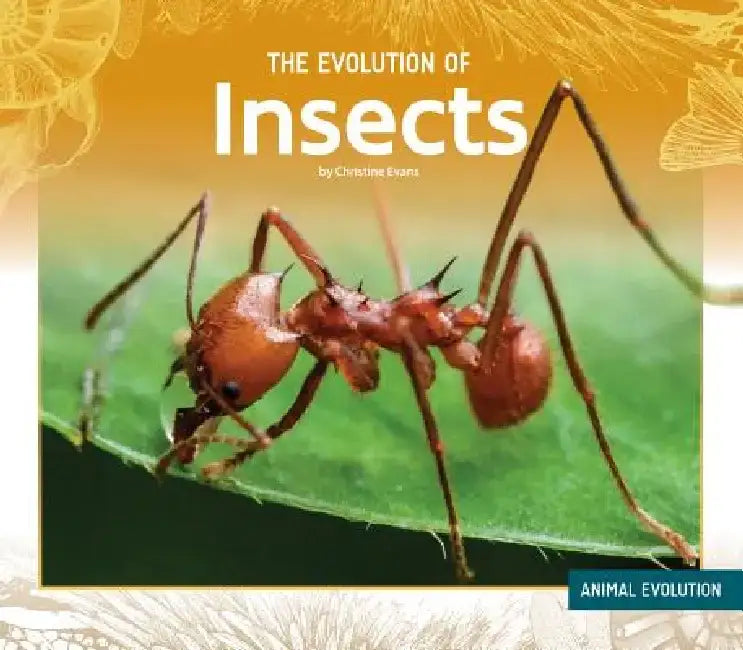 Evolution of Insects by Christine Evans