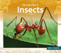 Evolution of Insects by Christine Evans