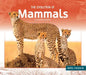 Evolution of Mammals by Sue Bradford Edwards