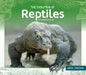 Evolution of Reptiles by Sue Bradford Edwards