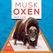 Musk Oxen by Jessie Alkire