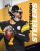 Pittsburgh Steelers by William Meier