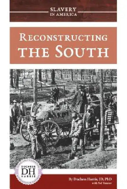 Reconstructing the South by Duchess Harris