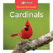 Cardinals by Leo Statts