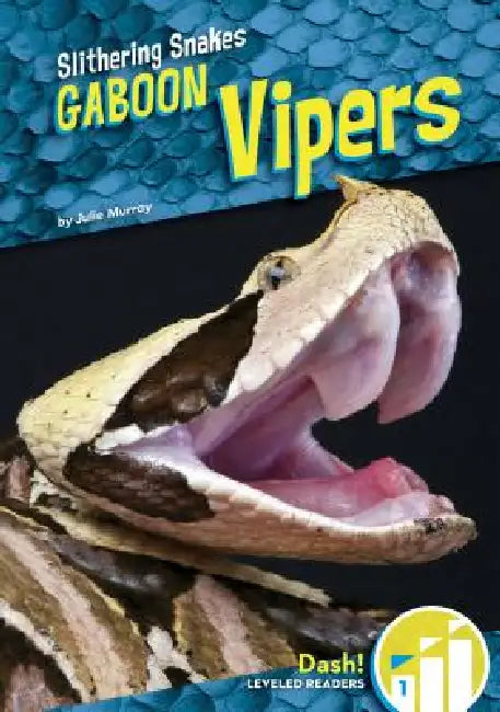 Gaboon Vipers by Julie Murray