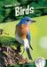 Birds by Julie Murray