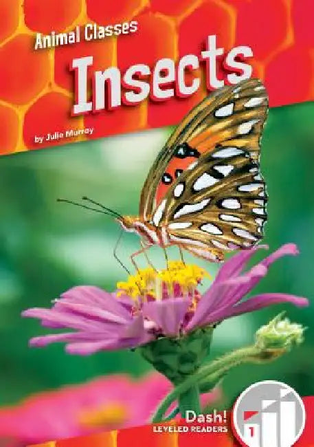 Insects by Julie Murray