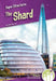 Shard by Julie Murray