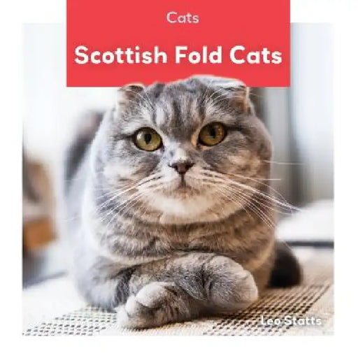 Scottish Fold Cats by Leo Statts