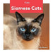 Siamese Cats by Leo Statts