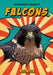Falcons by Kenny Abdo