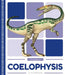 Coelophysis by Arnold Ringstad