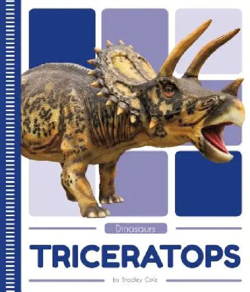 Triceratops by Bradley Cole