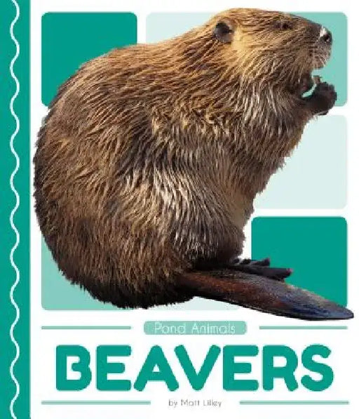 Beavers by Matt Lilley