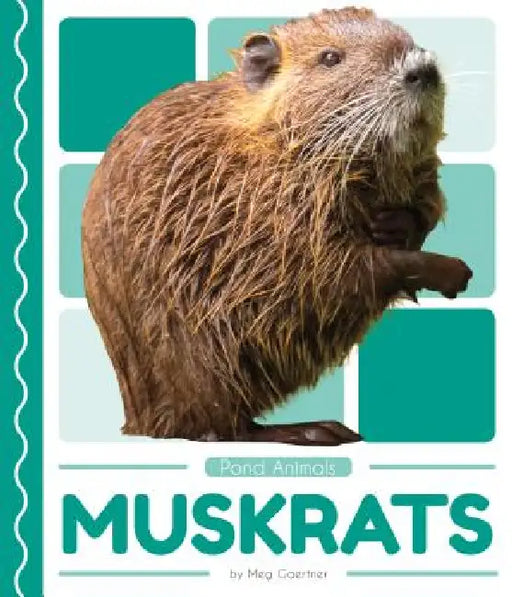 Muskrats by Meg Gaertner