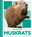 Muskrats by Meg Gaertner