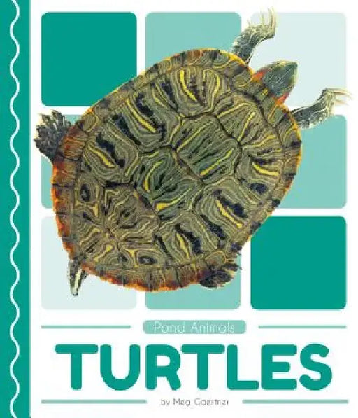 Turtles by Meg Gaertner