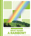 What Makes a Rainbow? by Debbie Vilardi