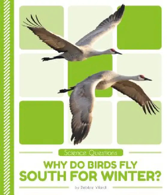 Why Do Birds Fly South for Winter? by Debbie Vilardi