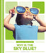 Why Is the Sky Blue? by Debbie Vilardi