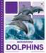 Dolphins by Emma Bassier