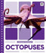 Octopuses by Emma Bassier