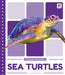 Sea Turtles by Emma Bassier