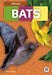 Bats by Emma Bassier